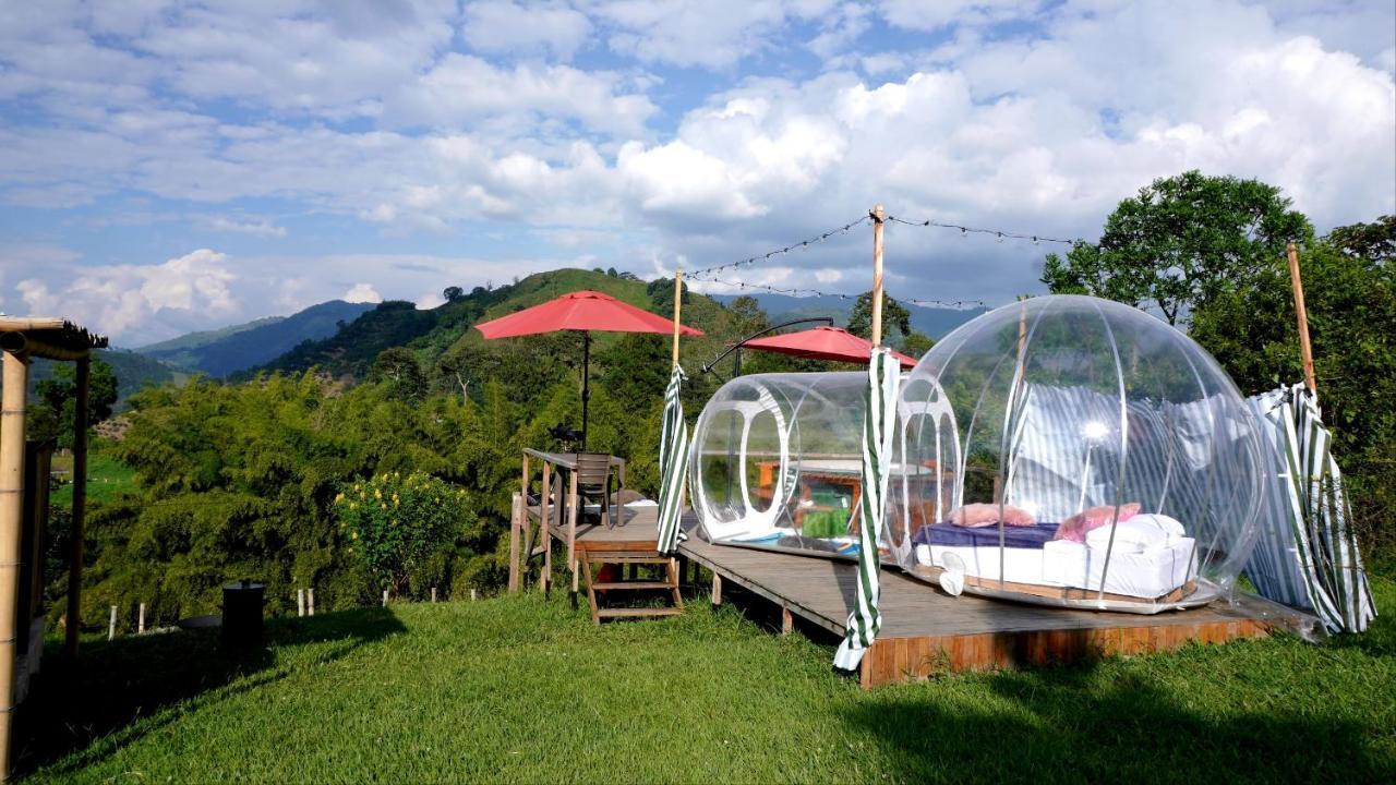 Hotel Glamping Del Cafe Santa Rosa De Cabal Zimmer foto